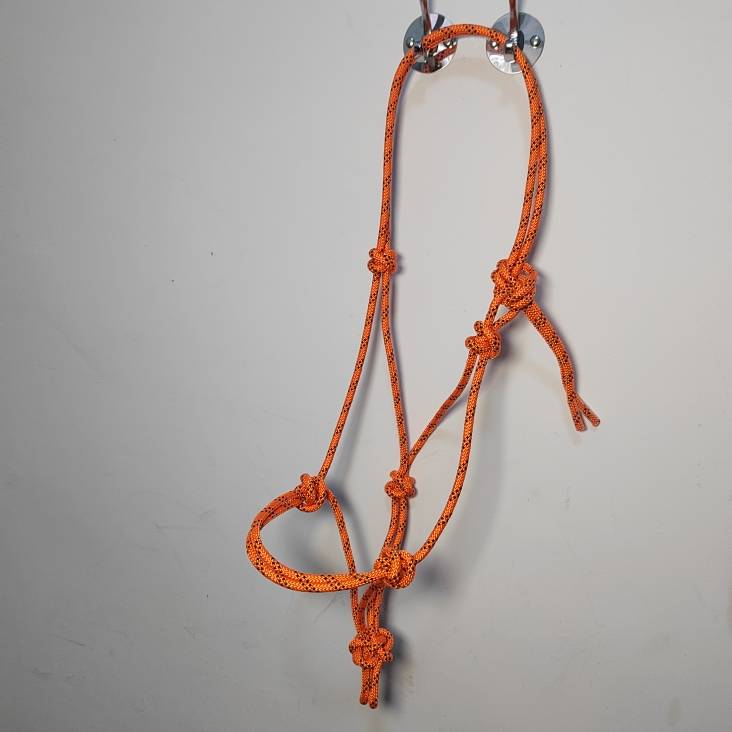 Orange L (155-165 cm shoulder height)